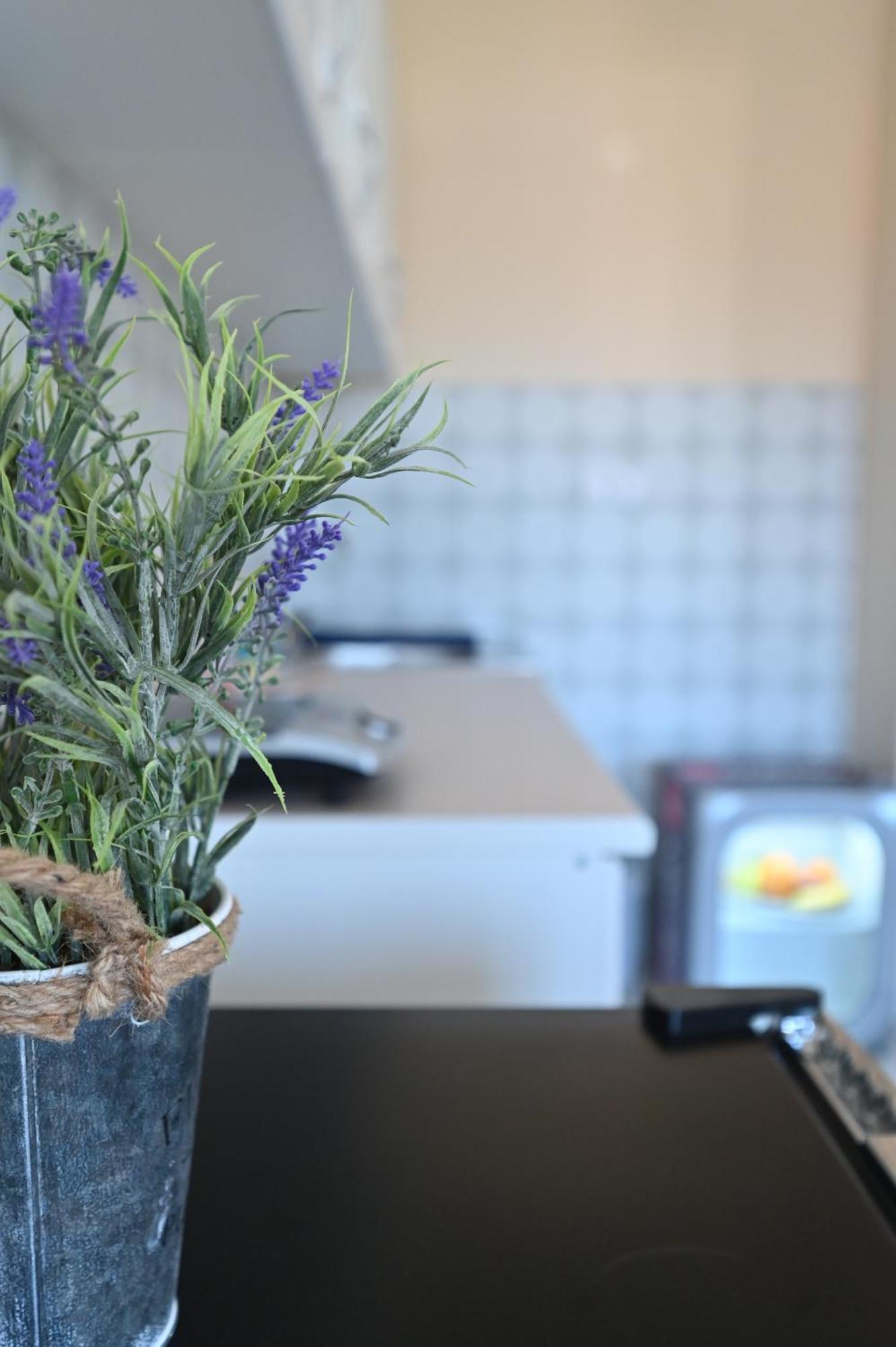 Smestaj Tea Sa Dva Bazena Vrnjačka Banja 外观 照片